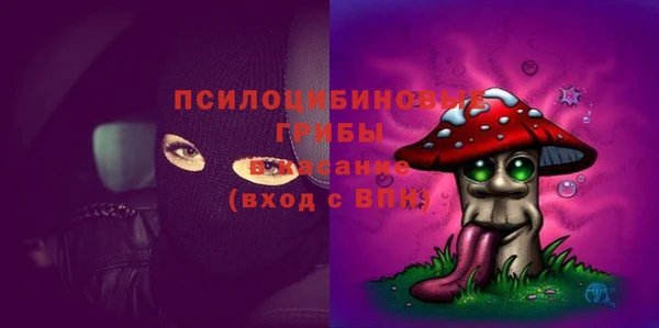 МДПВ Иннополис