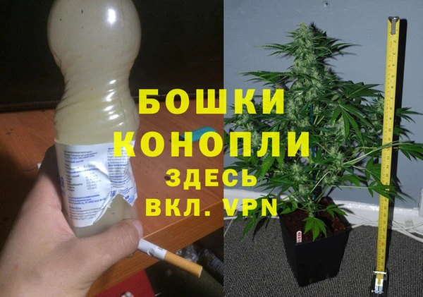 СК Аркадак