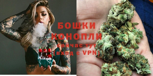 СК Аркадак