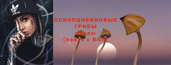 первитин Арсеньев