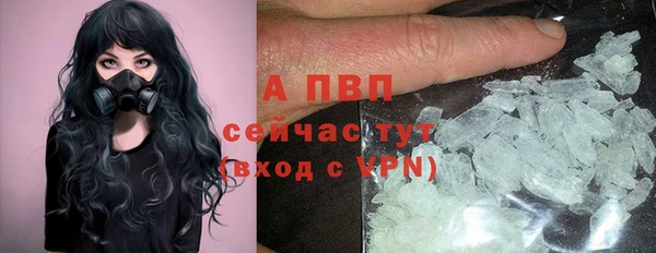 СК Аркадак