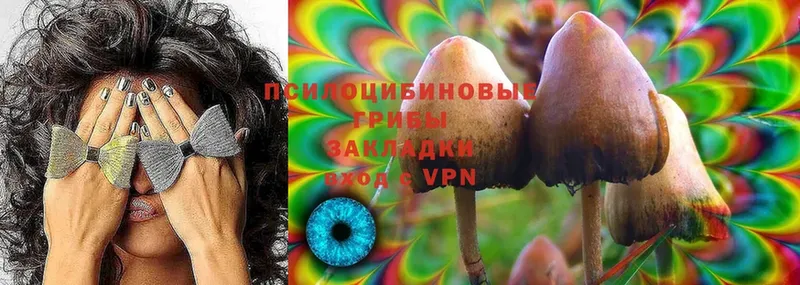 Галлюциногенные грибы Psilocybine cubensis  Беслан 