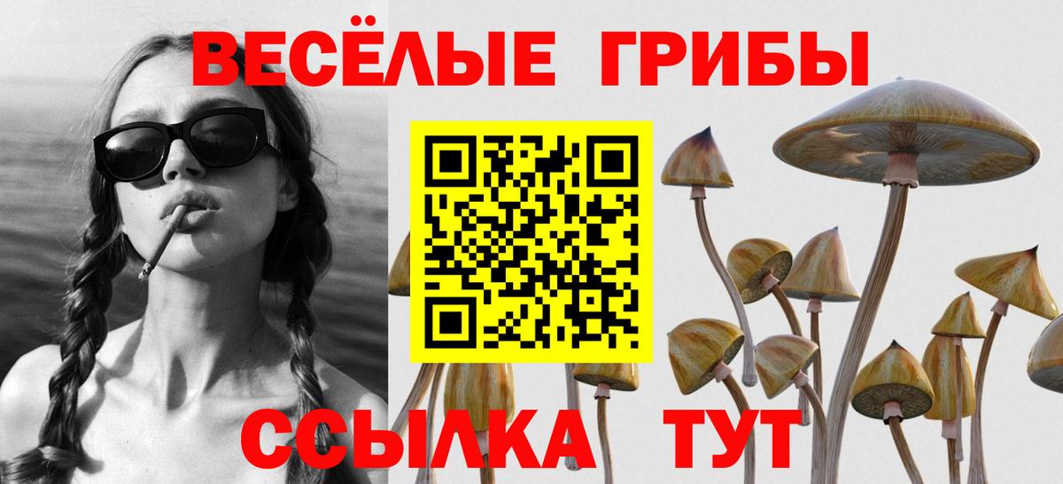 Псилоцибиновые грибы мицелий  Псилоцибиновые грибы мицелий  Вход с VPN  Беслан 